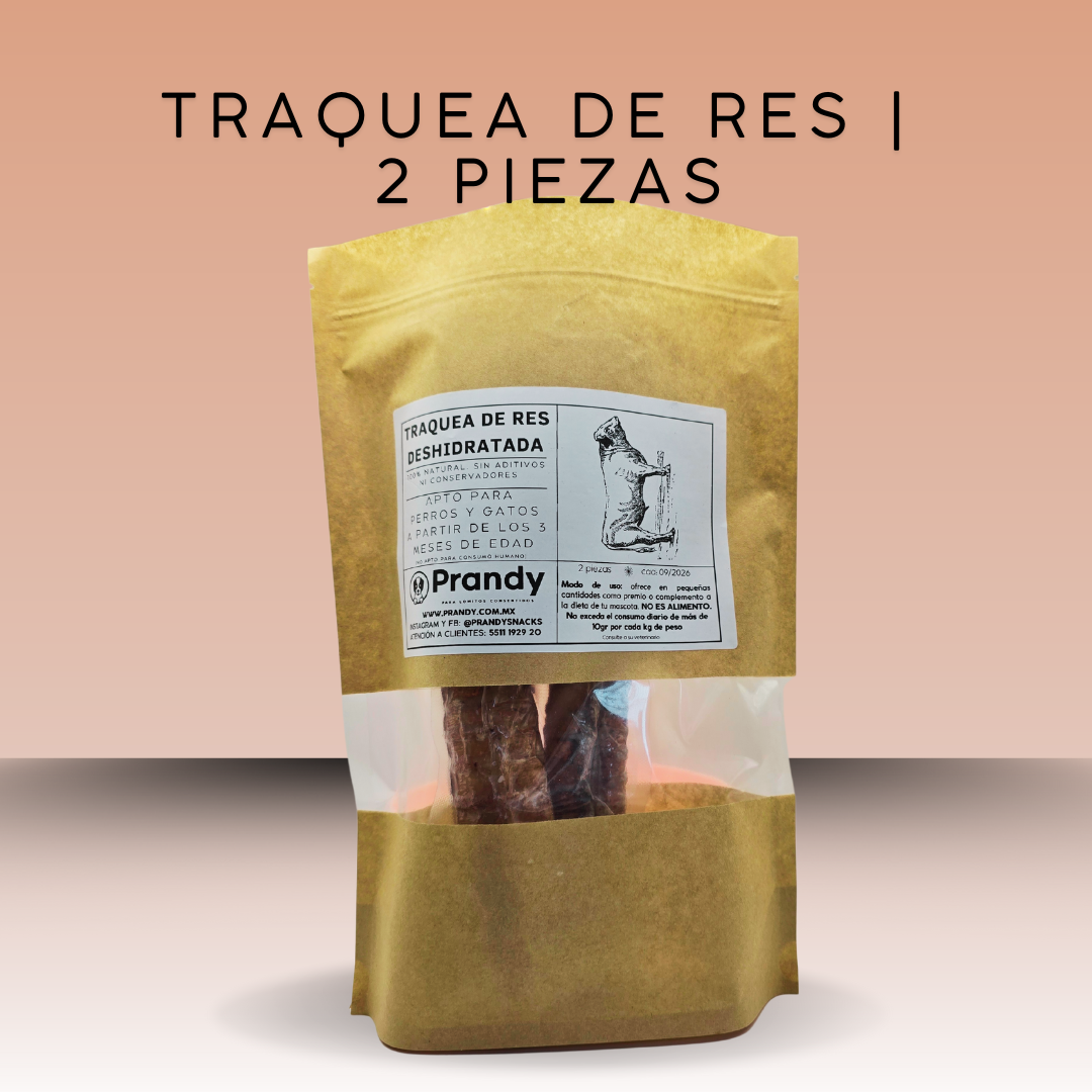 Traquea de Res