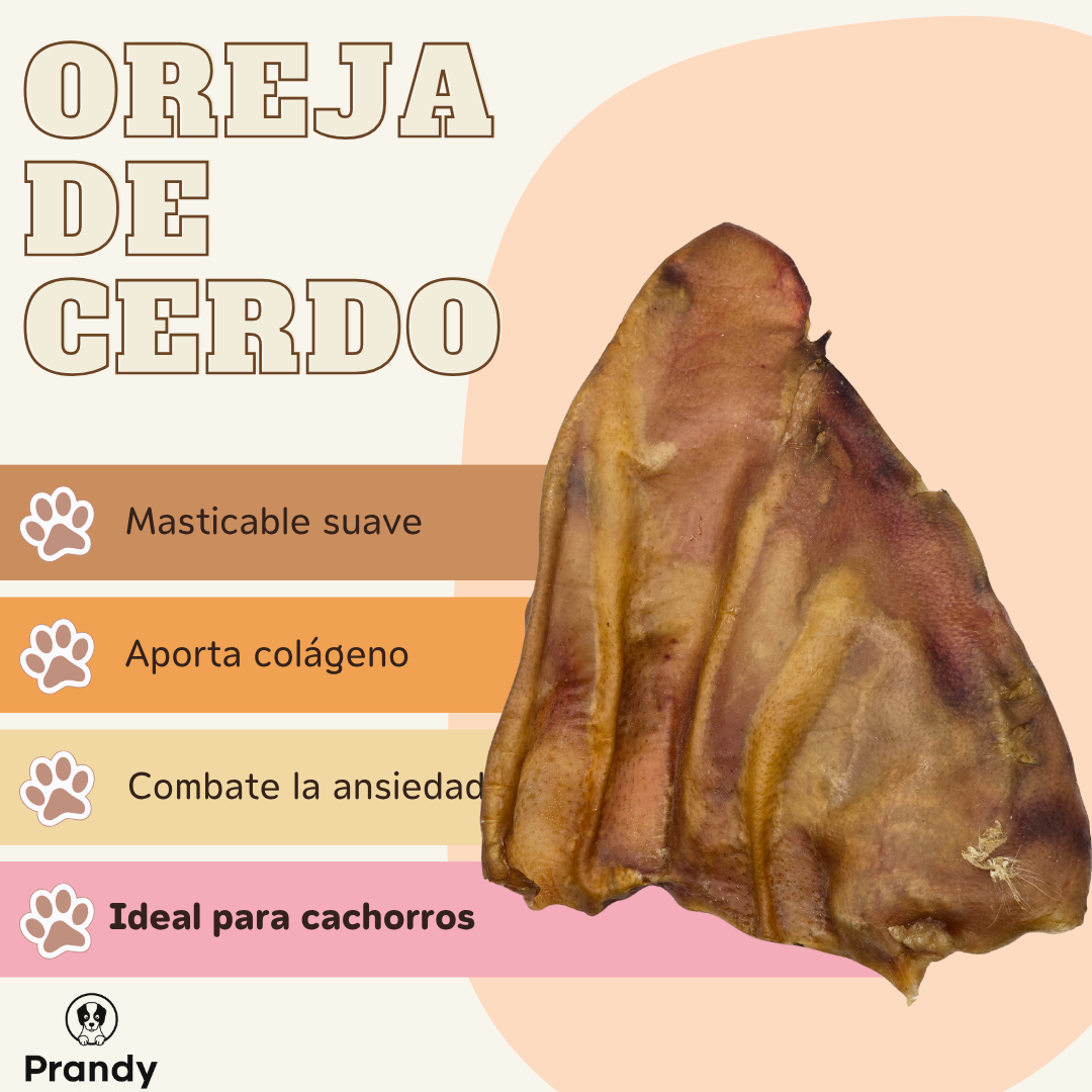 Oreja de Cerdo