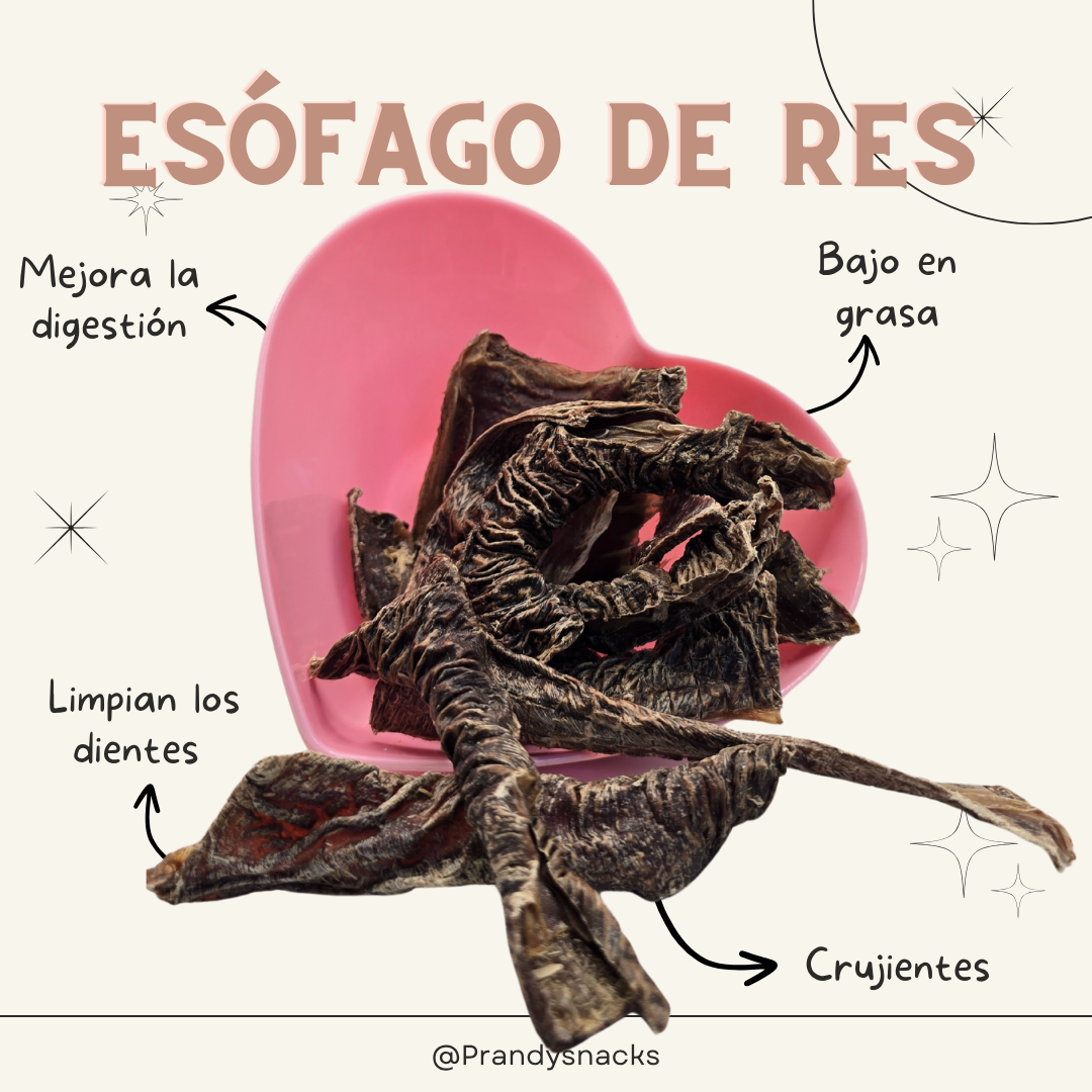 Esófago de Res Deshidratado