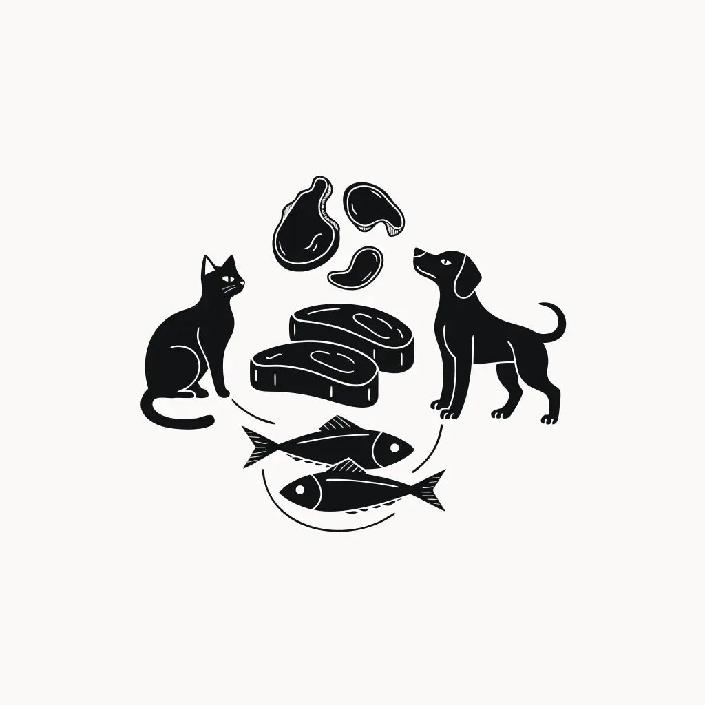 Ilustración estilo grabado de perro y gato con proteínas naturales de pollo, res y pescado Prandy