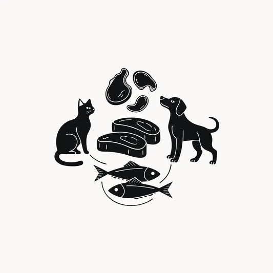 Ilustración estilo grabado de perro y gato con proteínas naturales de pollo, res y pescado Prandy