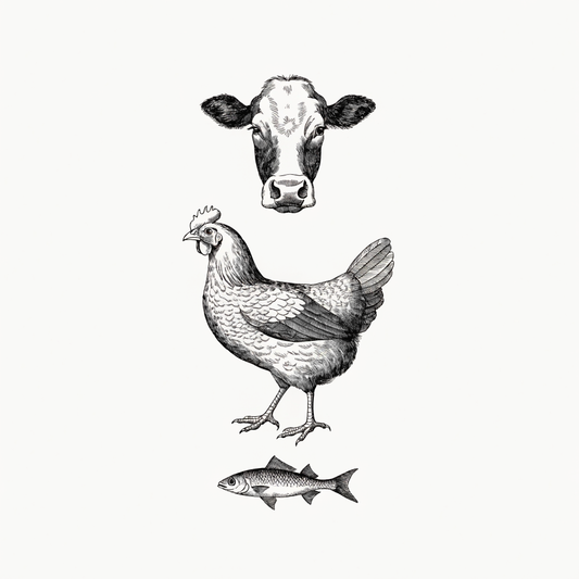 Ilustración estilo grabado de proteínas naturales para mascotas Prandy