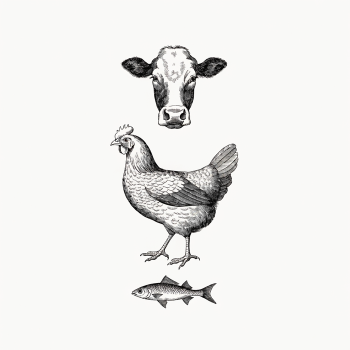 Ilustración estilo grabado de proteínas naturales para mascotas Prandy