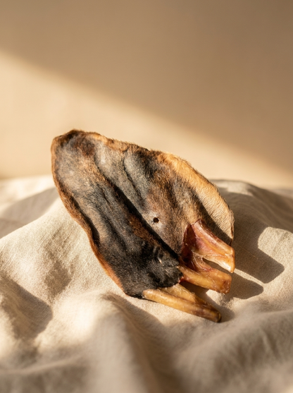 Oreja de Res Deshidratada