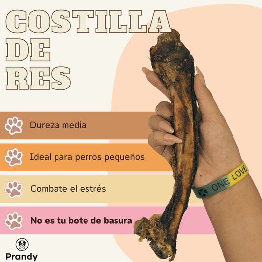Costilla de Res