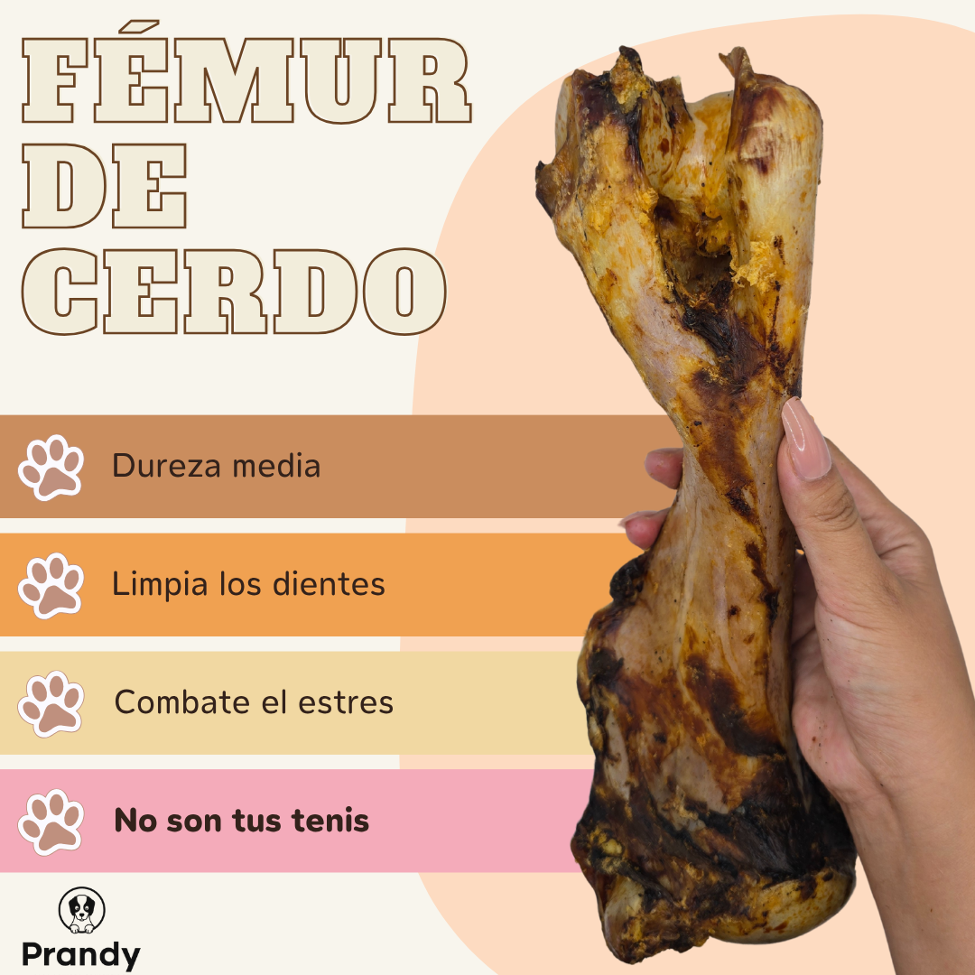 Fémur de Cerdo Deshidratado