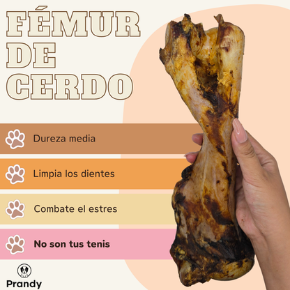 Fémur de Cerdo Deshidratado