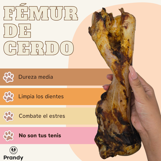Fémur de Cerdo Deshidratado
