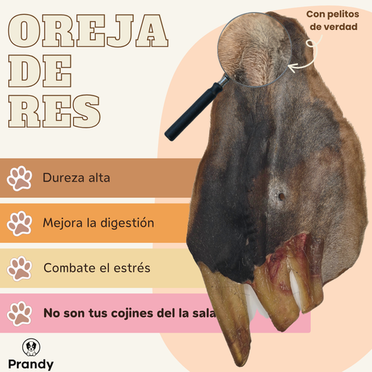 Oreja de Res