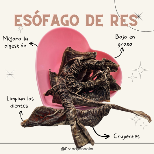 Esófago de Res