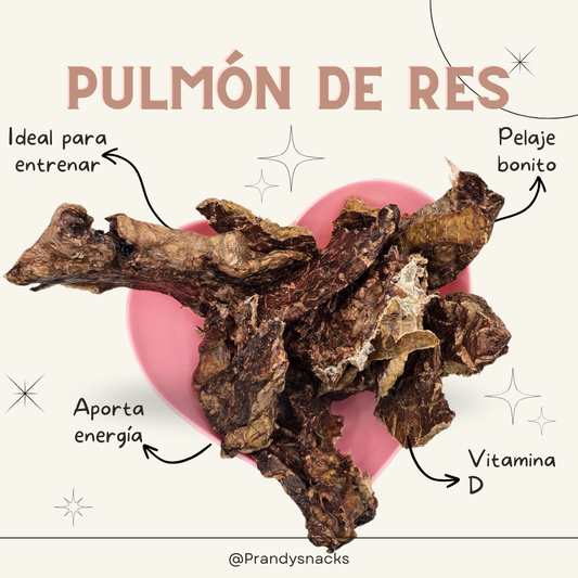 Pulmón de Res