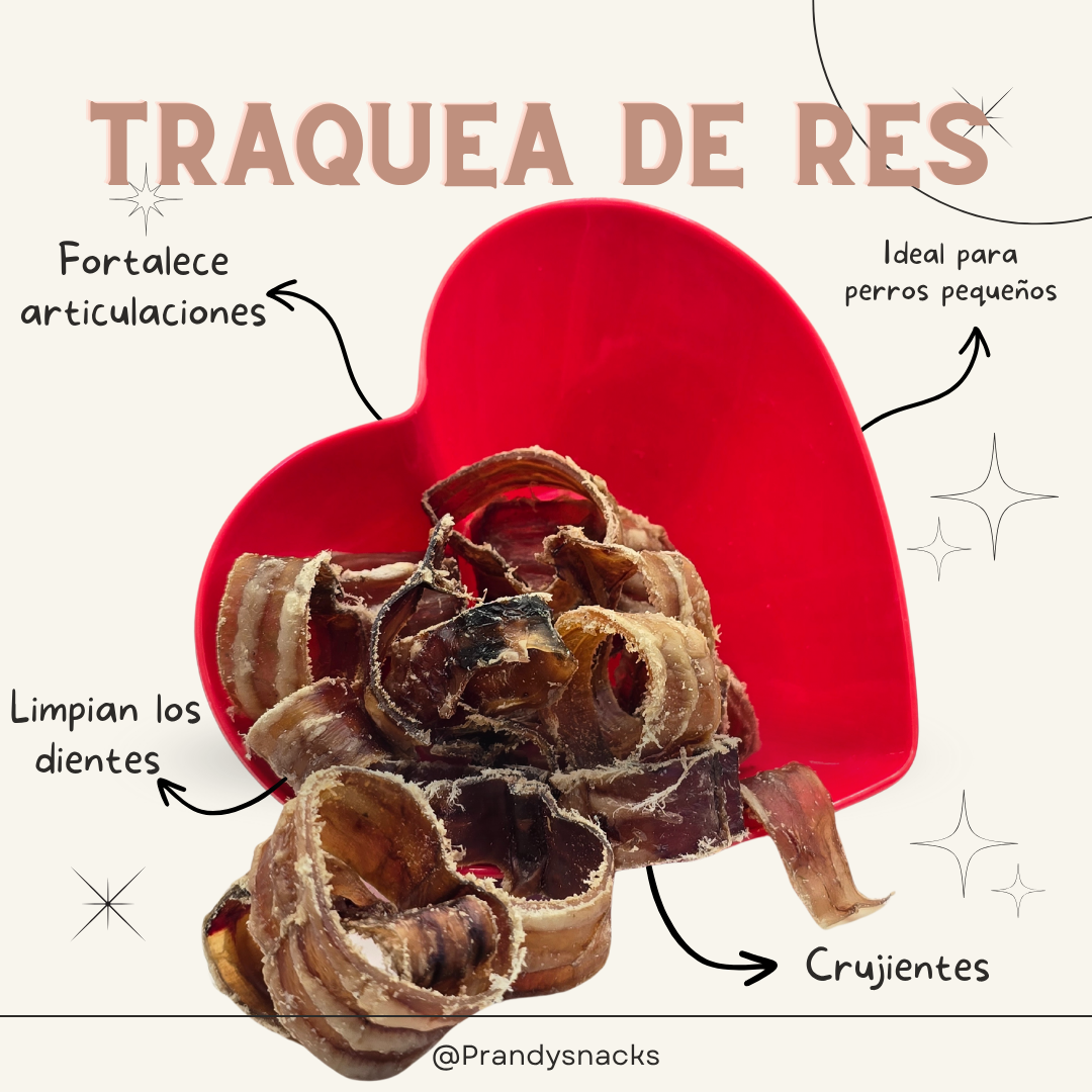 Traquea de res en aros