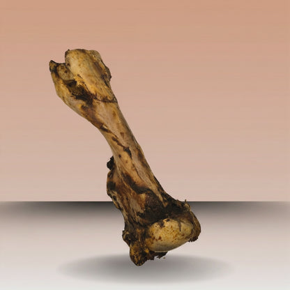 Fémur de Cerdo Deshidratado