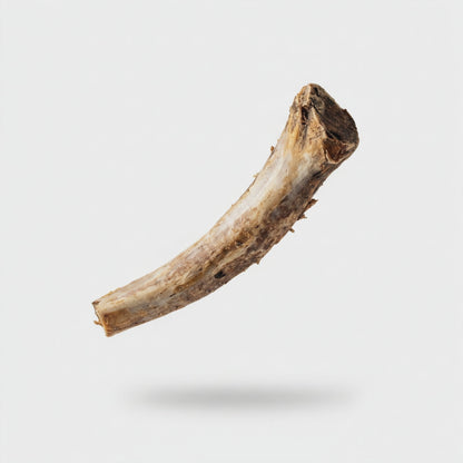 Costilla de Res Deshidratada