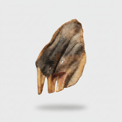 Oreja de Res Deshidratada